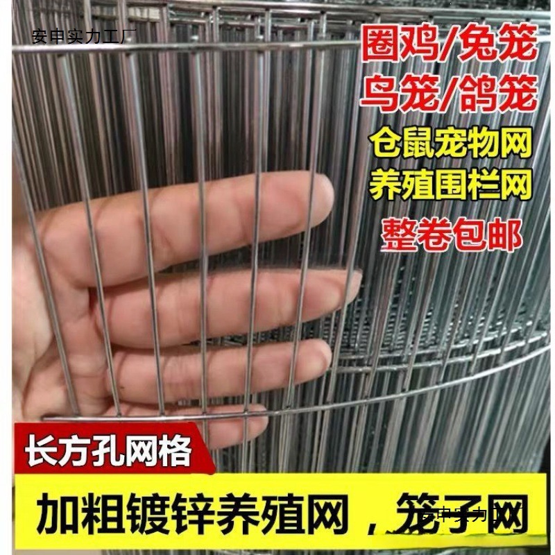 宠物笼底铁网片网鹌鹑网养殖鸽子网网家用兔笼镀锌铁丝网鹦鹉鸟笼