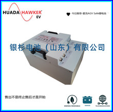 HUADAHAWKER�늳�  EV48-60-1.0   ��S�o  ֧��RS485ͨӍ