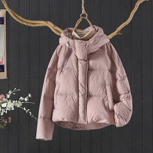 2024�궬���e�Bñ�̿���q�������Ů����ͨ�ڰ����q��ů��q����