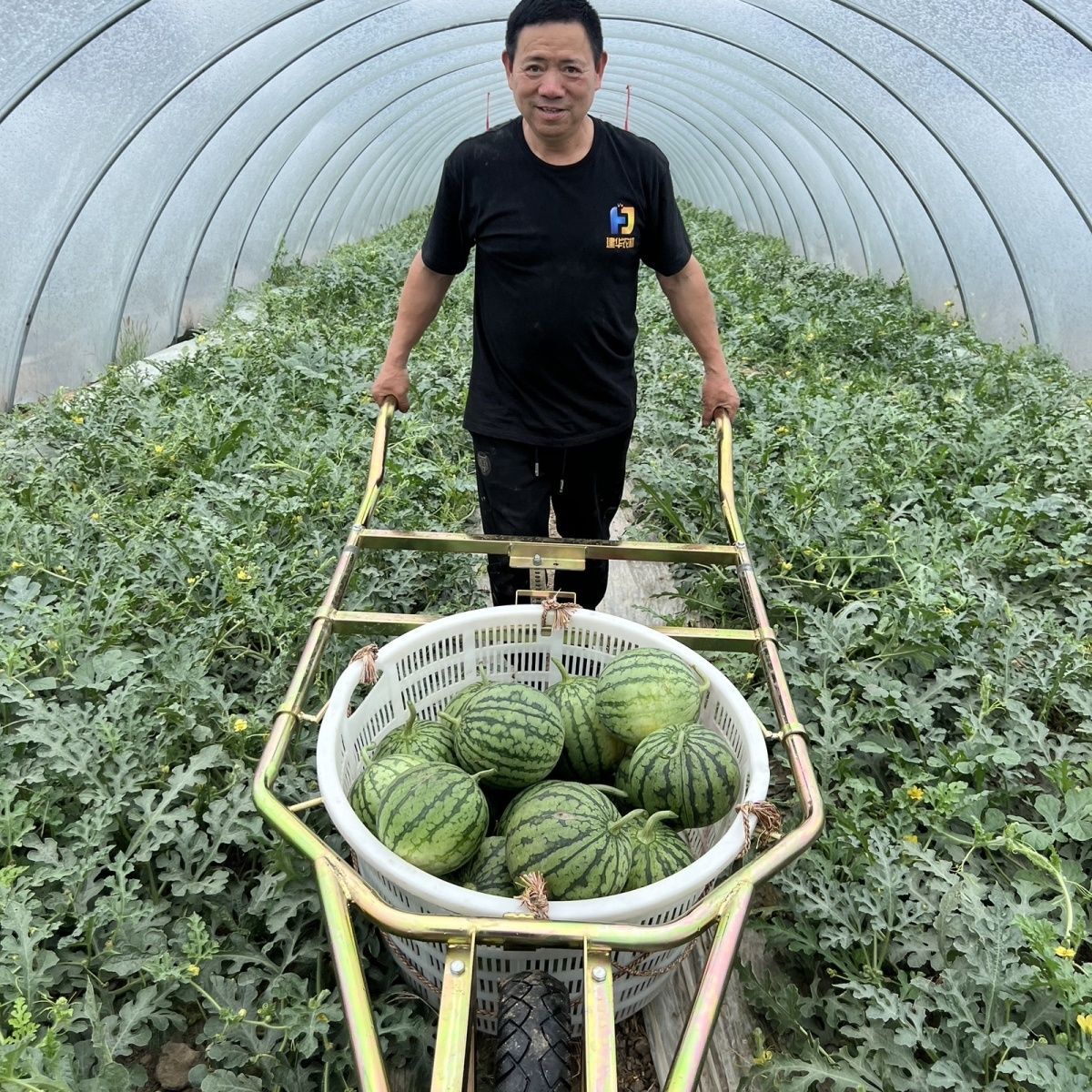 家用不农用建华农机研制推便携西瓜筐专用小推车西瓜独轮车