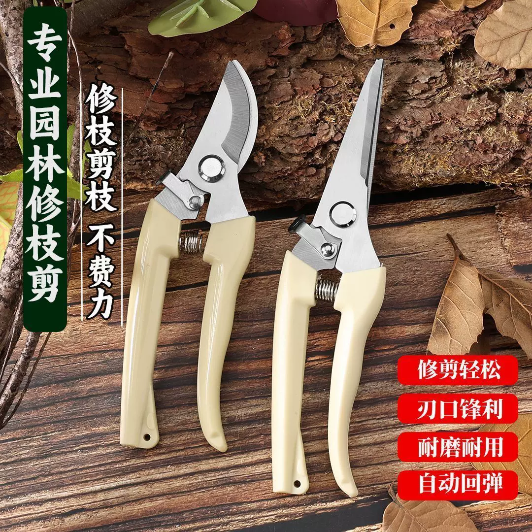 园艺剪修枝剪手工花艺剪果树枝条剪修花卉剪刀专用工具修枝神器H