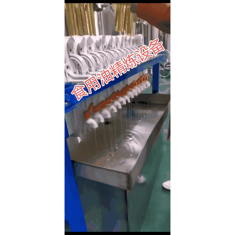 精炼设备 食用油SC流水线设备 菜籽油成套设备 山茶籽油精炼设备