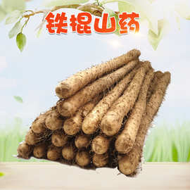 河北铁棍山药 5斤香糯铁杆山芋当季小白嘴麻棍薯新鲜蔬菜
