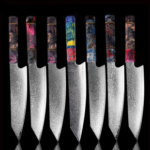 67-Layer Damascus Steel Chef's Knife Vg10 Steel Master Chef's Knife with Stable Wooden Handle for Chopping Vegetables, Sharp and Durable