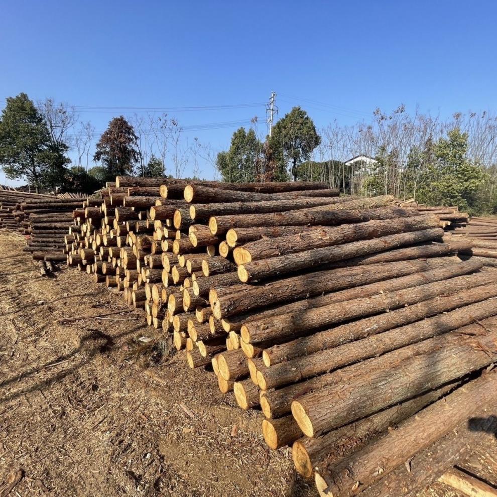 62d61cc0-3aa7-4281-ae38-15d0b3ba17fe.jpe