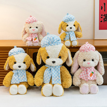 �¿ͨؐ��ñϵ������ë�q���С����ͯ���ṫ�п羳��ż�Y��