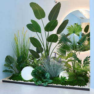 ֲ쾰̨^҃Șb߼Gֲ˽Ȼ