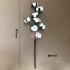 8 -headed white