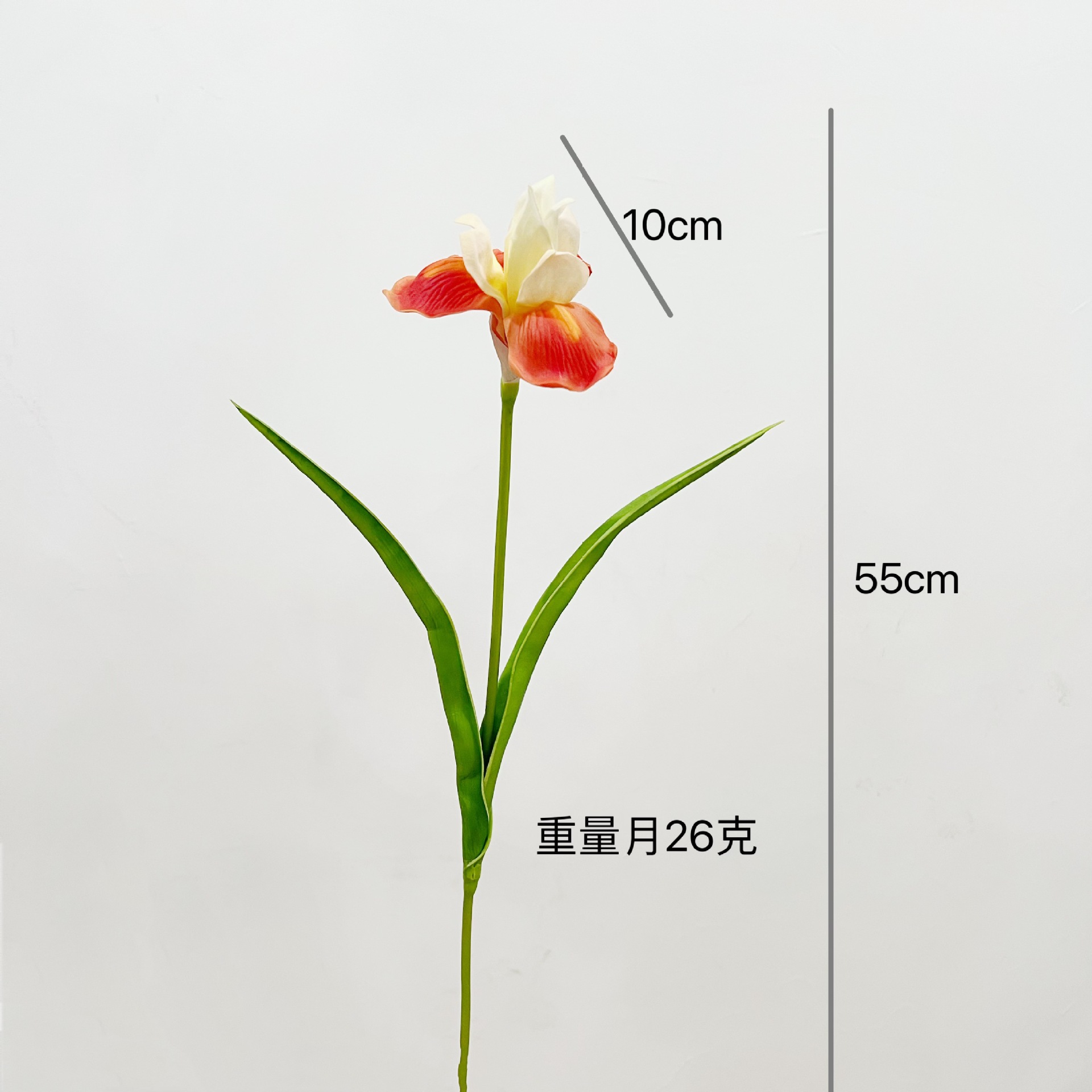 오렌지 레드