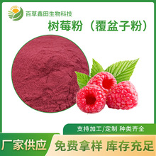 红树莓果粉 提取物 树莓浓缩汁粉 覆盆子果粉实力工厂直供