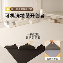 可拆洗地毯客厅新款免洗可擦拆卸机洗卧室床边地垫大面积全铺家用