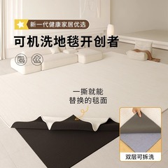 機械的にカーペットを洗うことができます。