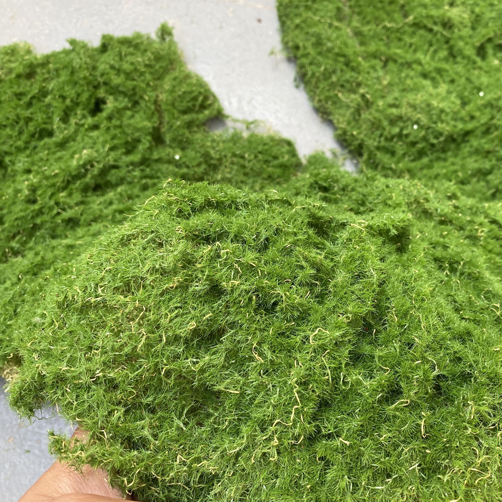 Simulation of moss gargam fake moss moss lump bionic ornaments…