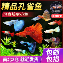 �����Pβ�~���~�絭ˮ���w���B�Ꭷ�^�p�~��ȸ�~�����~���R�~���N