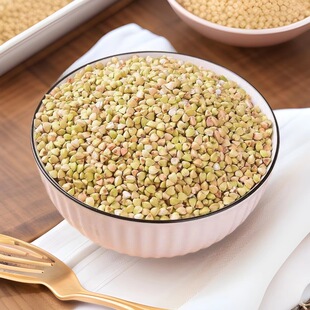 ������؛�|���w����ɢ�b������������w������s�Z���������l