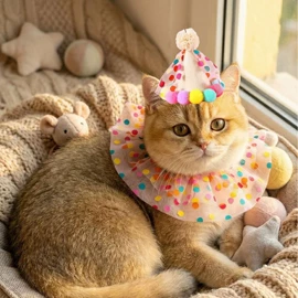 狗狗服装;宠物绝育服/生理裤;宠物围巾