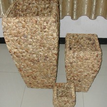 ˮ�ݻ��@ˮ���J���@���@�Nֲ�@â�����@������ˮ���J���@