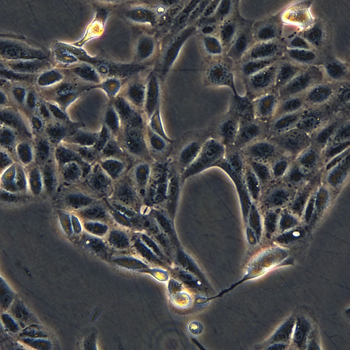 2025-11-05 15:21:19.jpg