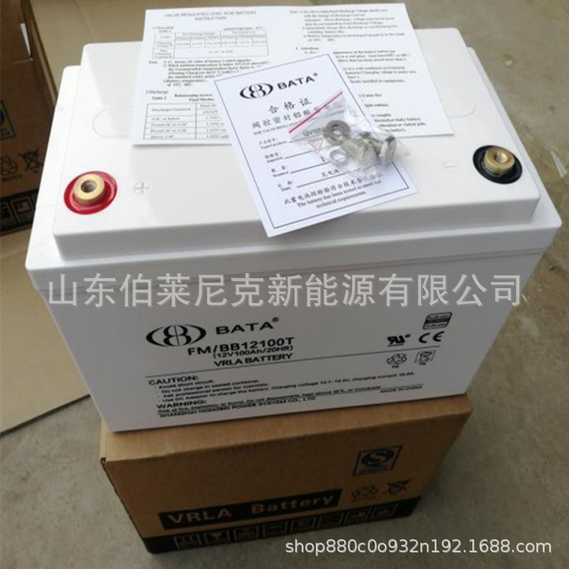 BATA鸿贝蓄电池FM/BB12100T 12V100AH通讯基站 电力UPS电源直流屏
