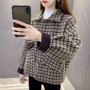 �ӽq�Ӻ�����Ů����2026���¿��n��Ӣ���Lë�،����@�����eС����