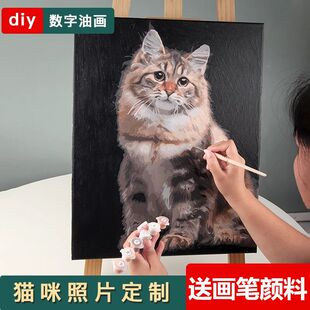 �����ͮ�diy����؈�乷����Ƭ2025���նY���D2025�»���ë�Y��