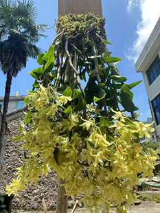 �FƤʯ�����ͥԺ�Nֲ�Gֲ����