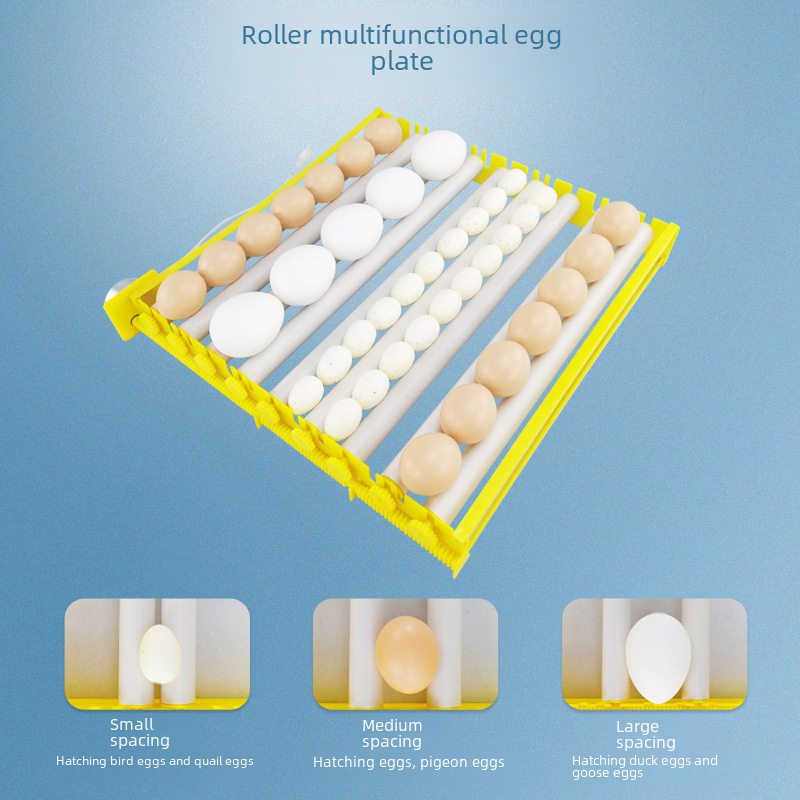 孵化機小型家用蛋盤 多功能自動翻蛋蛋盤 雞鴨鵝鳥蛋蛋盤滾軸蛋盤