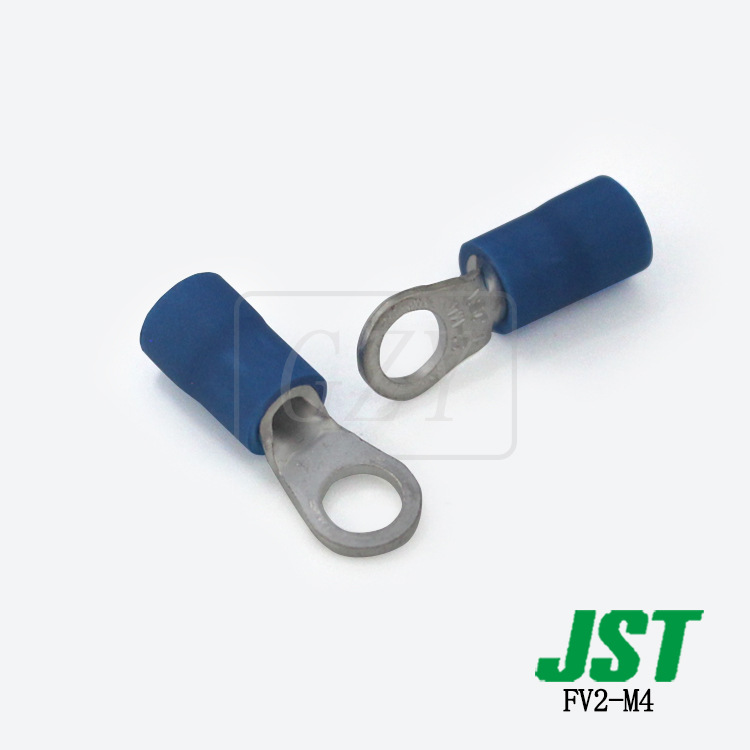 ɶ FV2-M4 ѹ JST