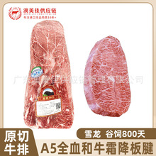 ѩ��A5ȫѪ��ţ����ĵϠ��ԭ��ţ�ż�Ѫ˪��ѩ��ţ������M12����