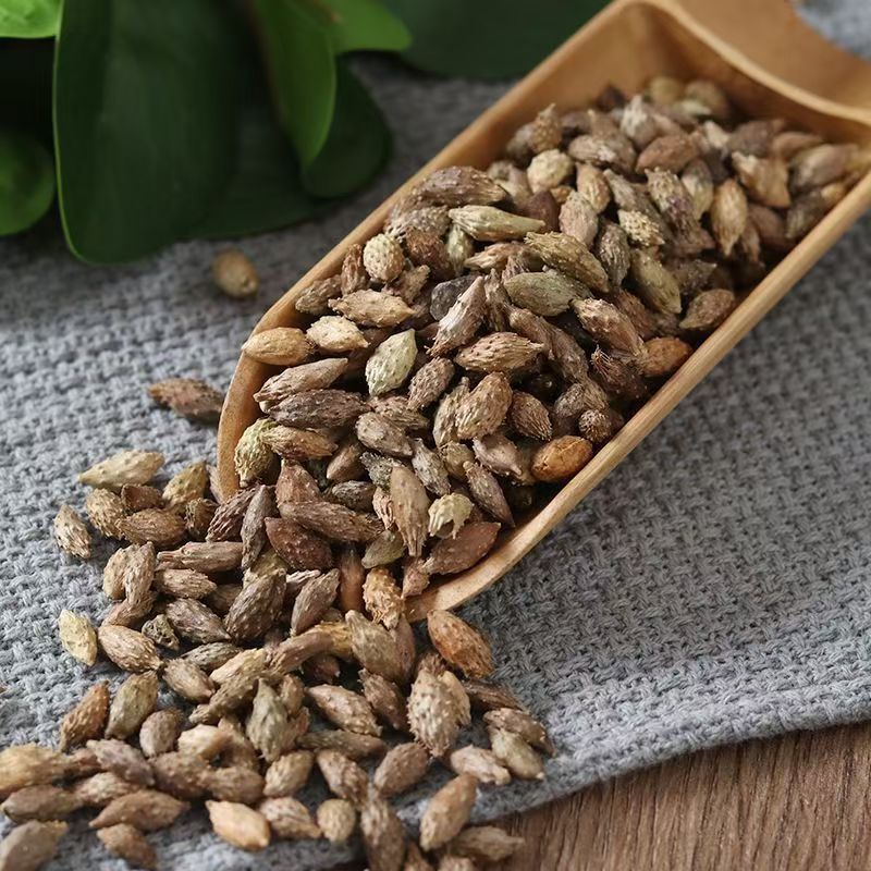 Dried Cang Er Zi Xanthium Fruit 500g De-Spined Cocklebur Whole Form Traditional Herbal Ingredient specifications