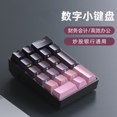 Ruiyi F20 デジタルメカニカルキーボードキーパッド有線外部ラップトップ財務会計ミニポータブル