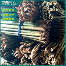 竹杆厂家批发 豆角搭架竹竿 西红柿搭架竹竿 毛竹竿