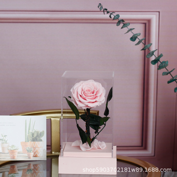 Regalo acrílico del Principito, rosa, Día de San Valentín, regalo de cumpleaños para niña, flor eterna, arte de flor eterna terminado
