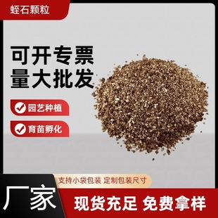 ��Ʊ�S����ʯ���]С�����bǤ����������������@ˇ������|�Gֲ