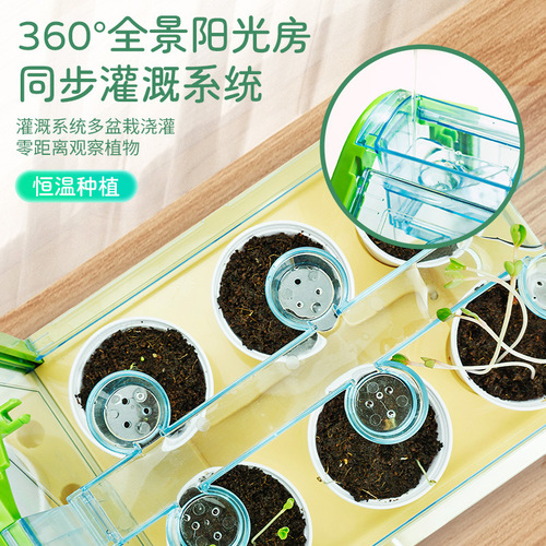 Planting DIY vegetable and flower observation science experiment set for kindergarteners, vegetable planting pot for 6-year-olds