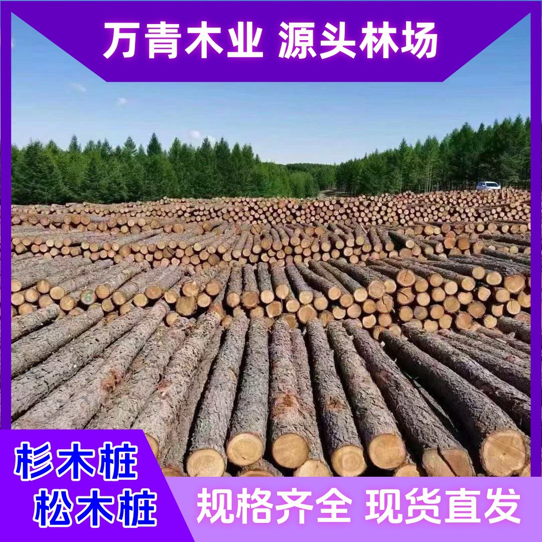 杉木松木桩香杉打桩实木河道打桩木3米4米原木林场批发