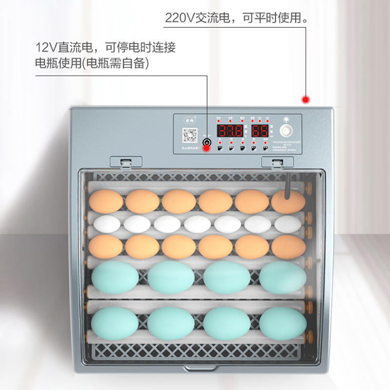 Jiayu incubadora de pollo pequeño hogar incubadora automática huevo paloma incubadora inteligente