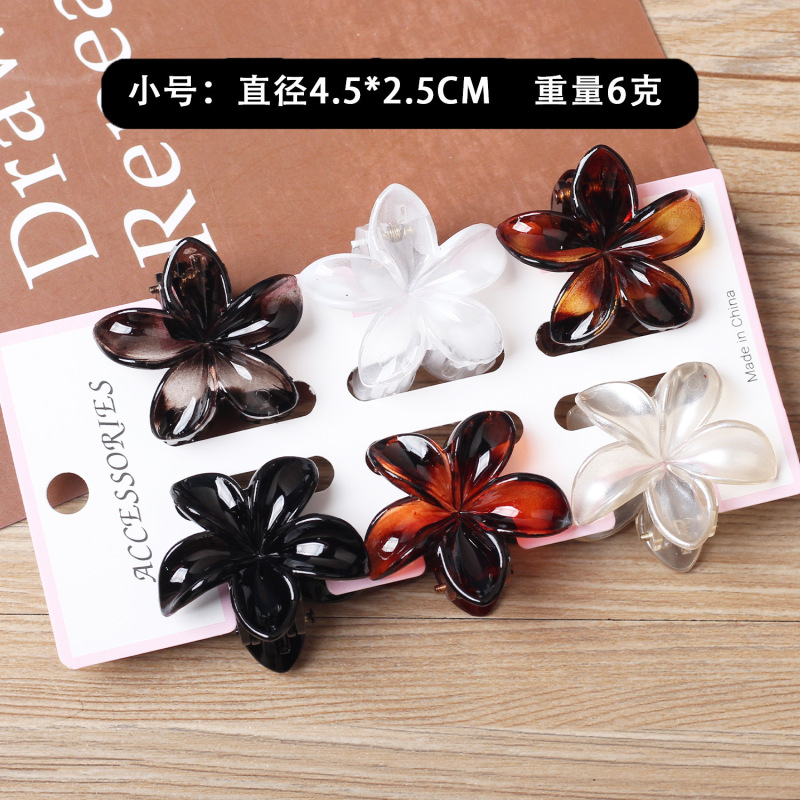 新商品のかわいい六点セットの卵の花の夏のリゾート風はビーチの海辺のカードの後頭部を挟みます。|undefined
