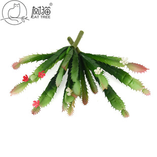 ����������� ���������� �������������z��΢���^diy�bپGֲ