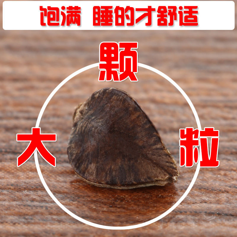 微信图片_202402102236312