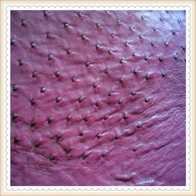 Ostrich skin Foot skin wholesale goods in stock ostrich Leatherwear Handbags Fabric Base raw material Warehouse