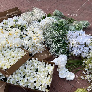 ��ɫϵ���ąR�����滨�׾Gɫ��Y����õ��ѩ��ٻ�����ٺϺ����m