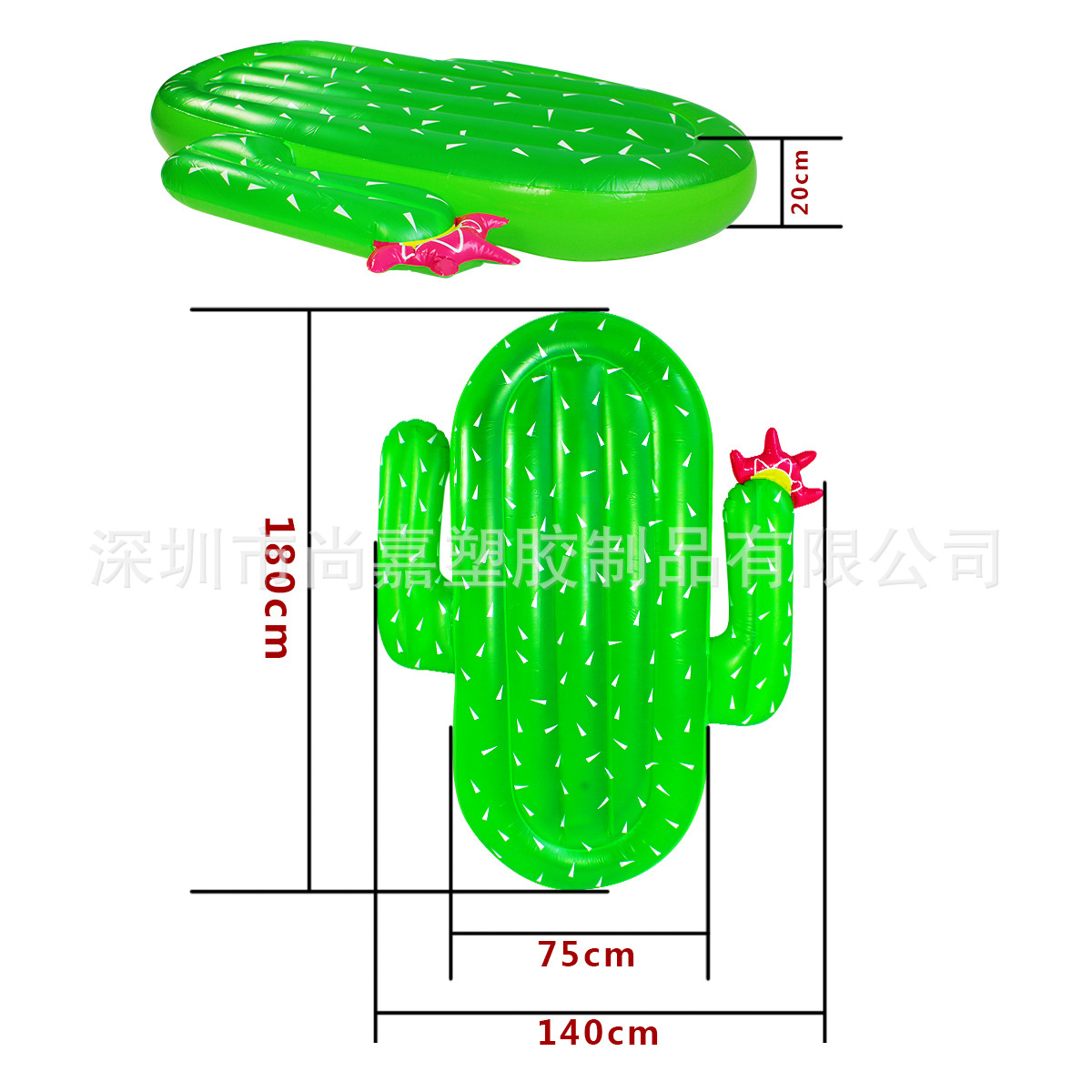 Fairy Palm Row-Size. Jpg