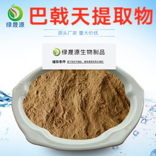 巴戟天提取物 30:1、50:1、10:1浓缩巴戟天粉 巴戟天皂甙 水溶性