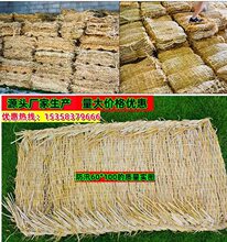 �����݉|��Ѵ�ݴ��ݰ���ѩ��·����·�汣���B�o�Ӻ񵾲݉|�ӵ���