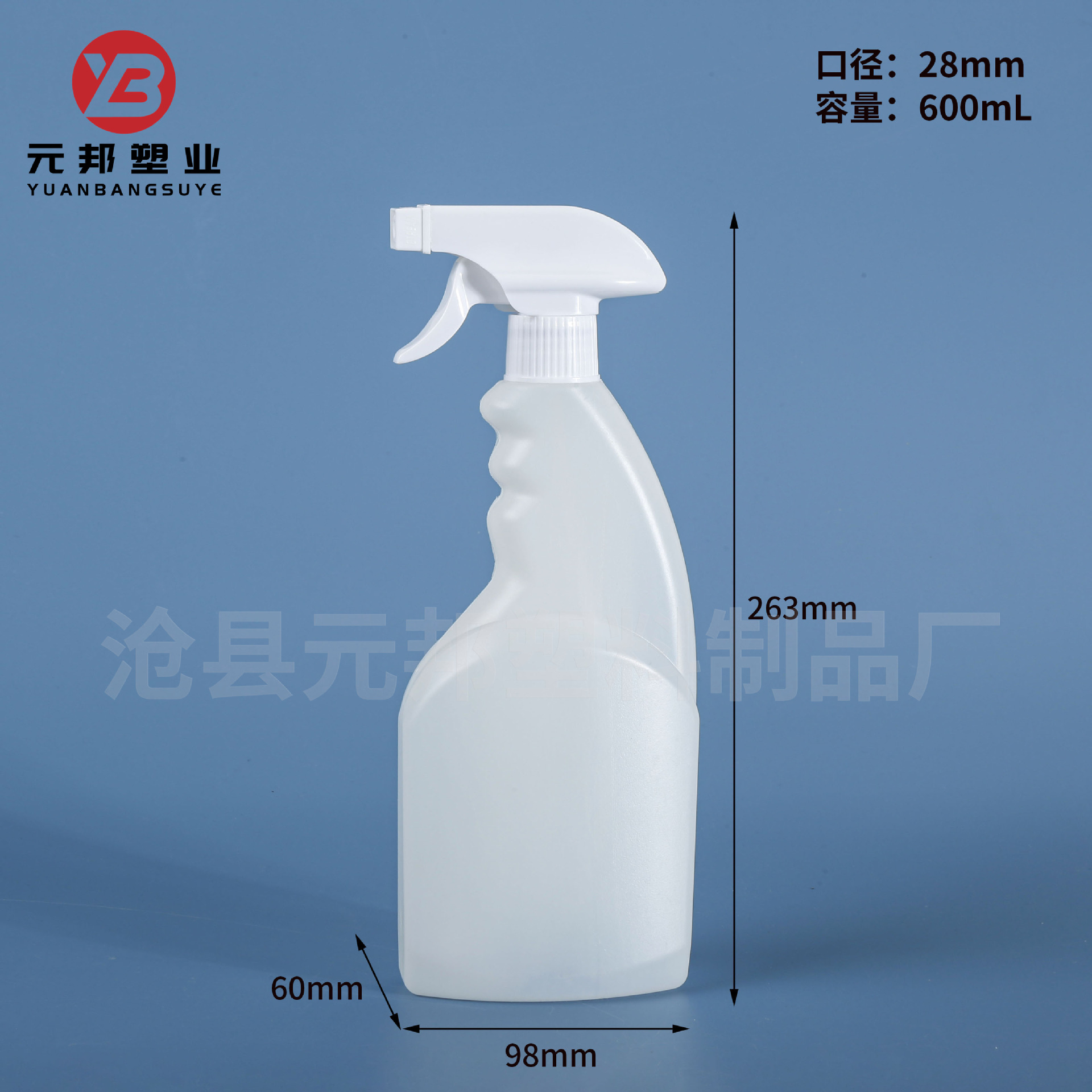 600ml 스타일 2