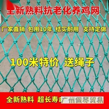 拦鸡网养鸡围网家禽养殖网山鸡网尼龙网菜园围栏网塑料网户外天网