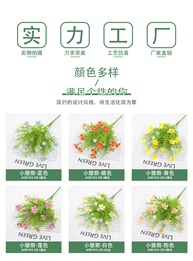 详2.jpg
