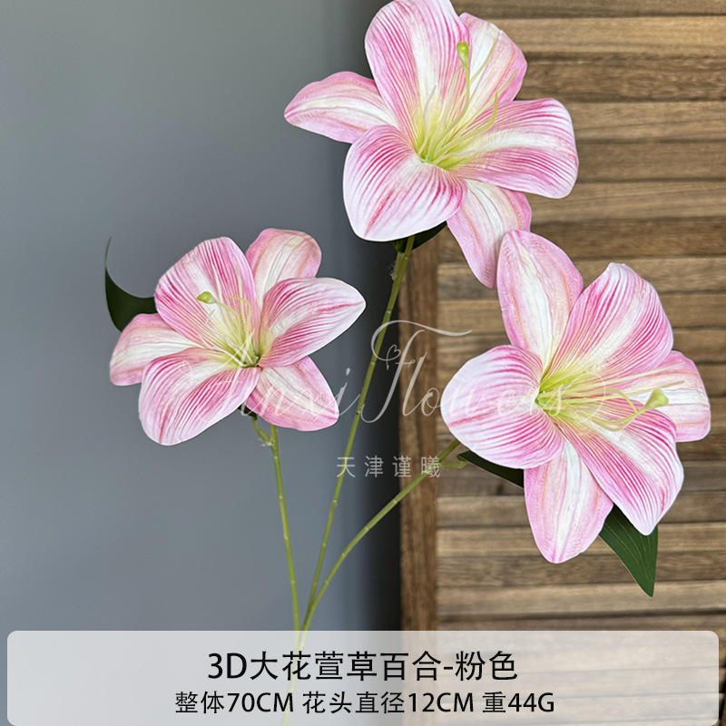 3D 큰 꽃 헤메로칼리스 백합