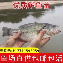 ˮ|~ |~ · ں|~ ˮBֳ ]